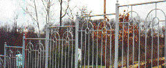 Custom Iron Fence